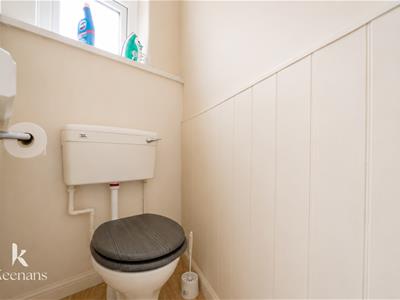 Picture 41